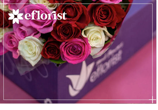 Eflorist