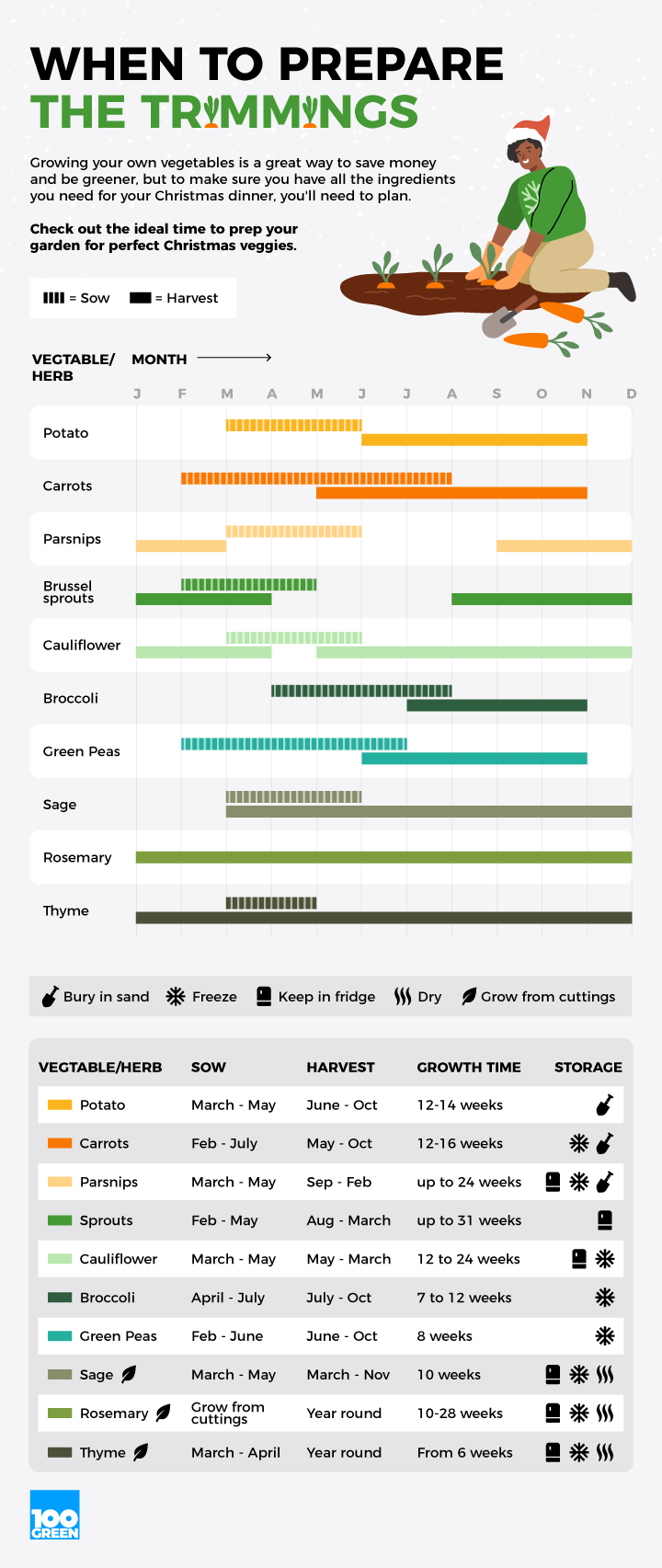 Grow your own vegetables for Christmas